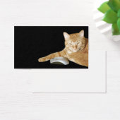 Cat with computer mouse (Desk)
