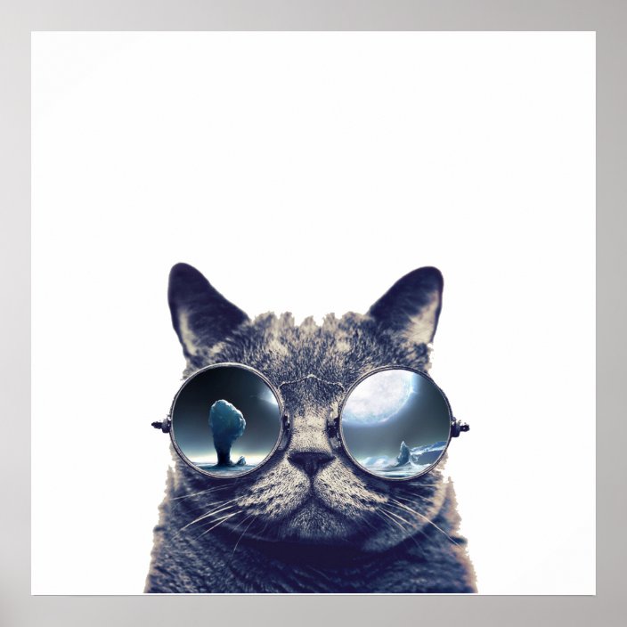 Cat with cool sunglasses poster | Zazzle.com