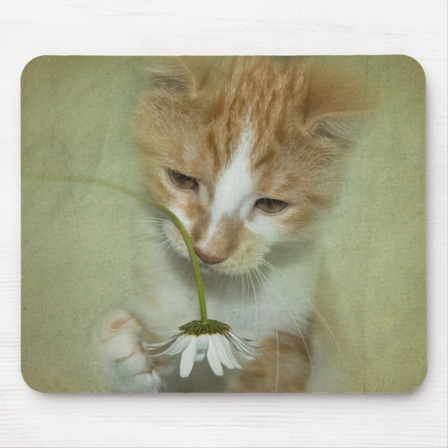 Cat With Daisy Mouse Pad (Front)