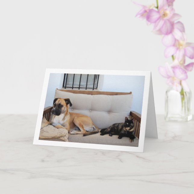 Cat with Dog on Bench Card (Orchid)