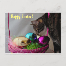 Cat with Easter Basket Holiday Postcard