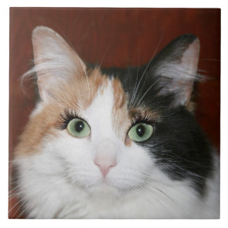 Cat with eyelashes tile