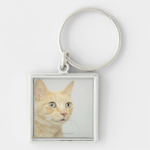 Cat with eyes open wide keychain