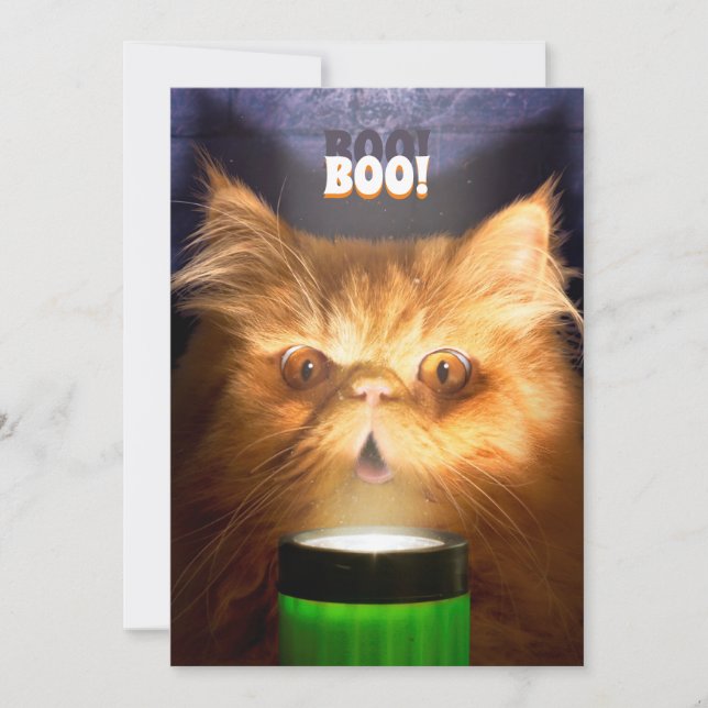 Cat With Flashlight Invitation (Front)