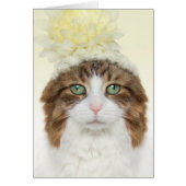 Cat With Flower Hat (Front)