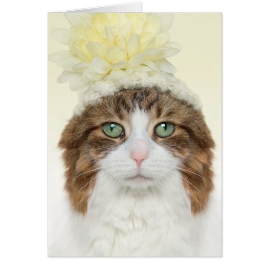 Cat With Flower Hat Cards (Front)