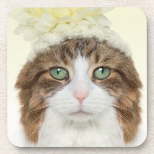 Cat With Flower Hat Drink Coaster