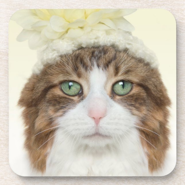 Cat With Flower Hat Drink Coaster (Front)