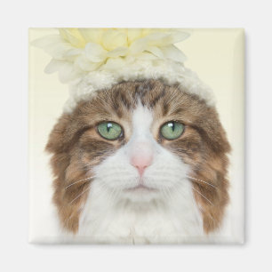 Cat With Flower Hat Magnet