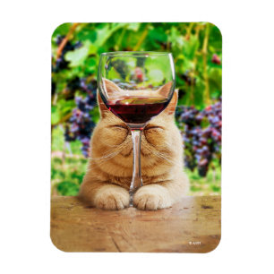 Cat With Glass of Wine Magnet