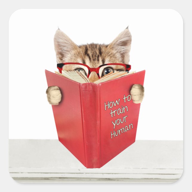 Cat with Glasses and Red Book  Square Sticker (Front)