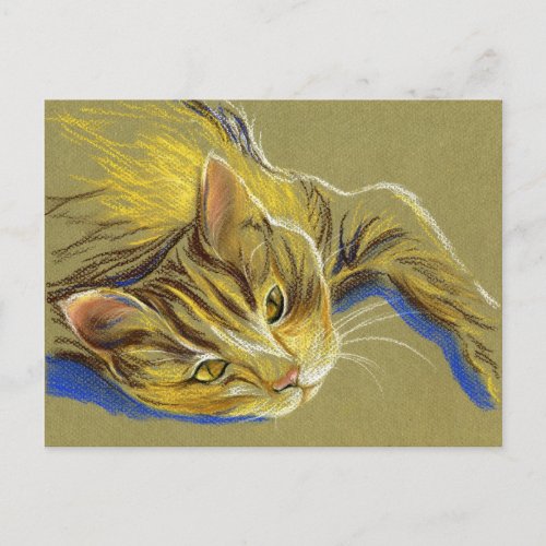 Cat with Gold Eyes _ Pastel Drawing Postcard
