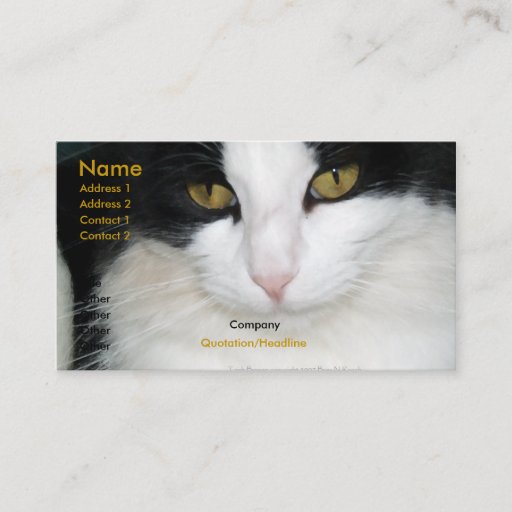 Customizable Cat with Golden Eyes Business Card