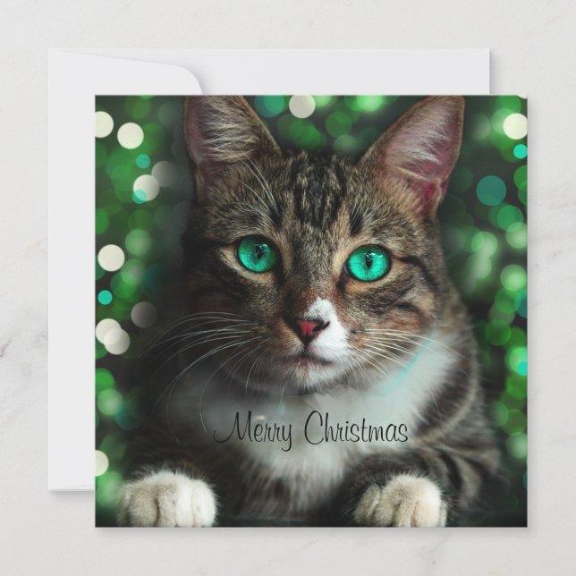 Cat with Green Eyes Flat Square Christmas Card (Front)