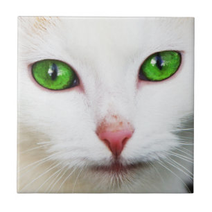 Cat with Green Eyes Tile