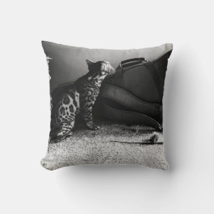 Cat with guitar pillow