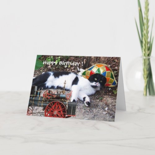 CAT WITH HARLEQUIN HAT Happy Birthday Card