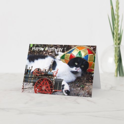 CAT WITH HARLEQUIN HAT Happy Birthday Card