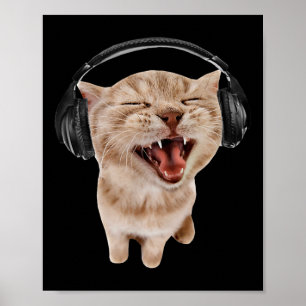 Cat With Headphones Meme Poster