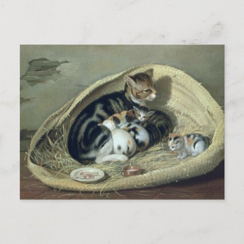 Cat with Her Kittens in a Basket 1797 Postcard