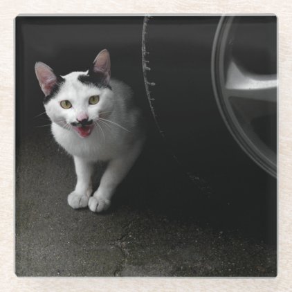 Cat with Mustache Glass Coaster