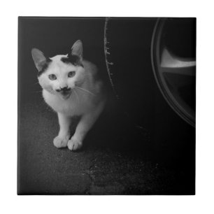 Cat with Mustache Tile