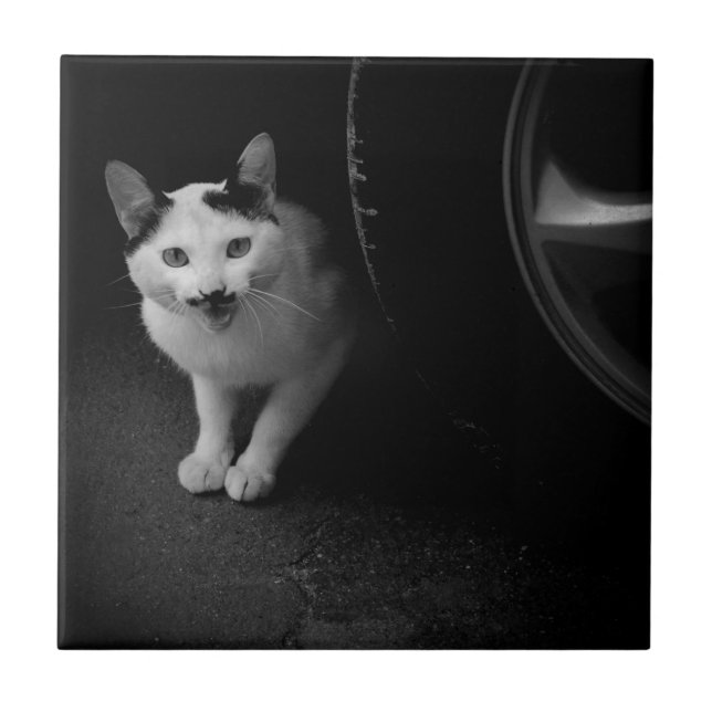 Cat with Mustache Tile (Front)