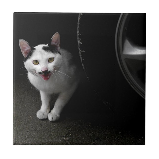 Cat with Mustache Tile (Front)