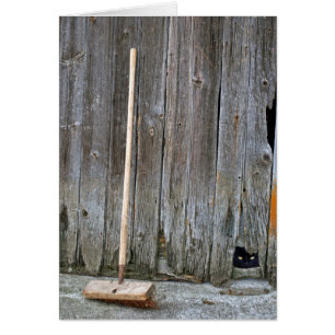 Cat with Old Barn Broom Cards