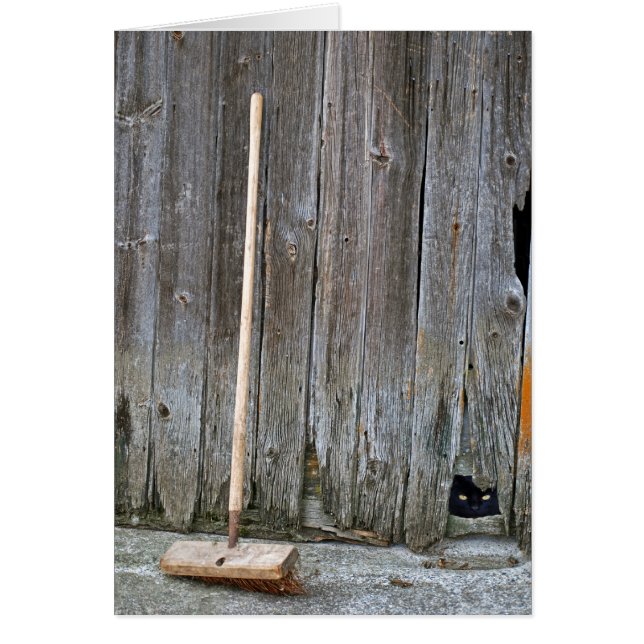 Cat with Old Barn Broom Cards (Front)
