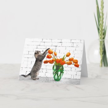Cat With Orange Tulips Card by dryfhout at Zazzle