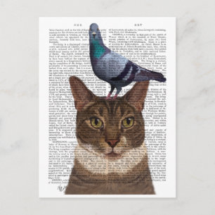 Cat with Pigeon on Head Postcard