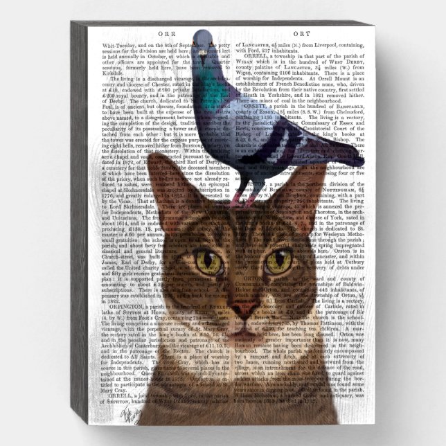Cat with Pigeon on Head Wooden Box Sign (Front Vertical)