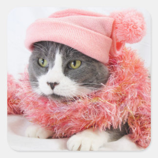 Cat with Pink Hat Square Stickers, Glossy Square Sticker
