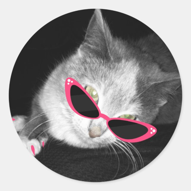 Cat With Pink Sunglasses Sticker (Front)