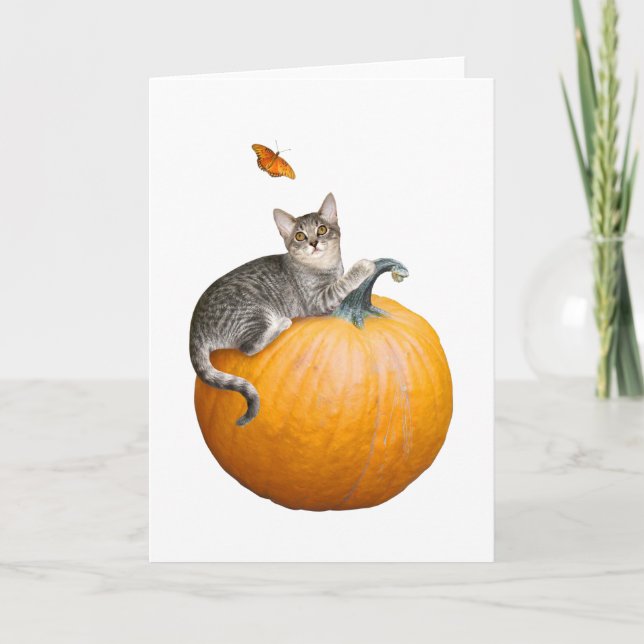 Cat with Pumpkin and Butterfly Card (Front)