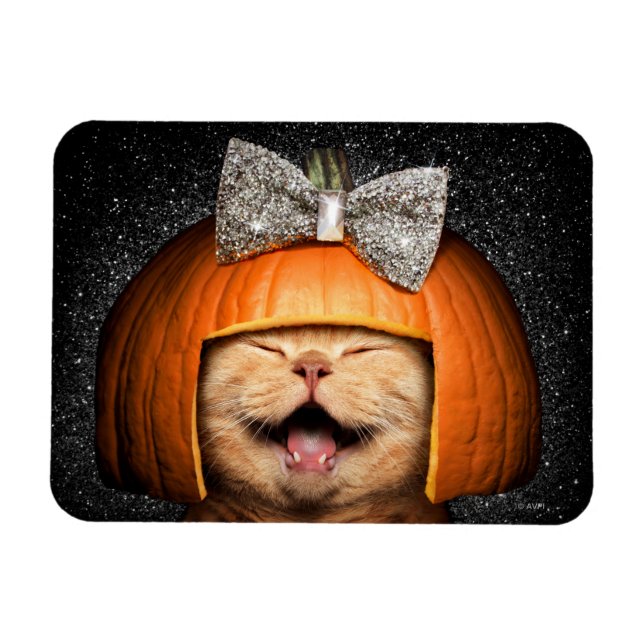 Cat With Pumpkin Hair Magnet (Horizontal)