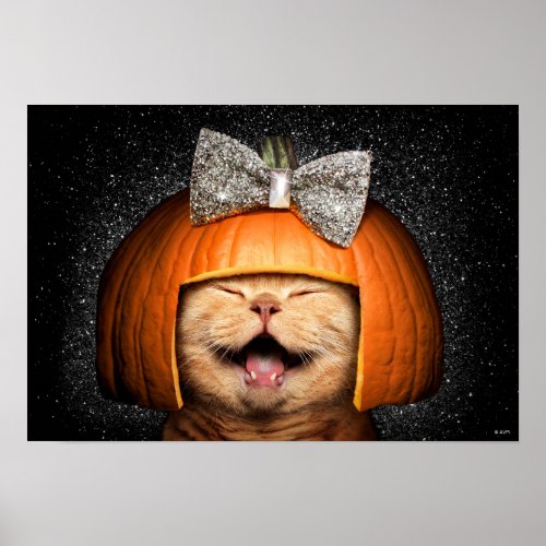 Cat With Pumpkin Hair Poster