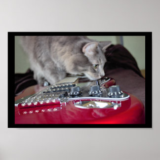 Cat with Red Electric Guitar Poster