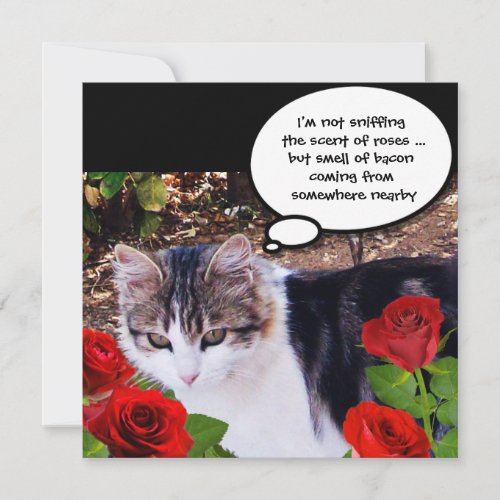 CAT WITH RED ROSES BACON BRUNCH PARTY INVITATION