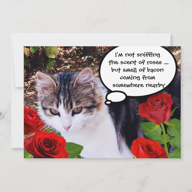 CAT WITH RED ROSES BACON BRUNCH PARTY INVITATION (Front)
