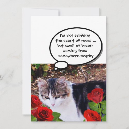 CAT WITH RED ROSES BACON BRUNCH PARTY INVITATION