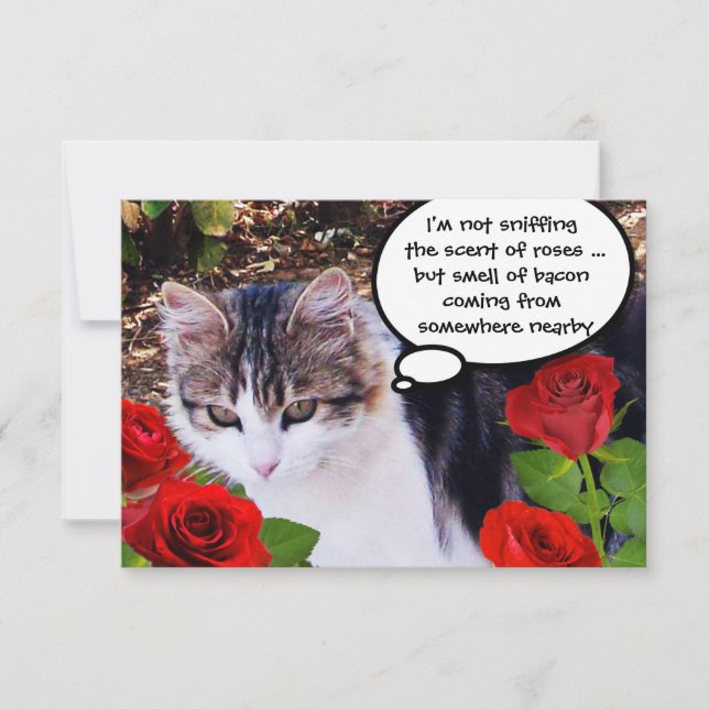 CAT WITH RED ROSES BACON BRUNCH PARTY INVITATION (Front)