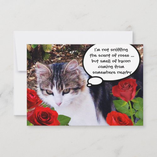 CAT WITH RED ROSES BACON BRUNCH PARTY INVITATION