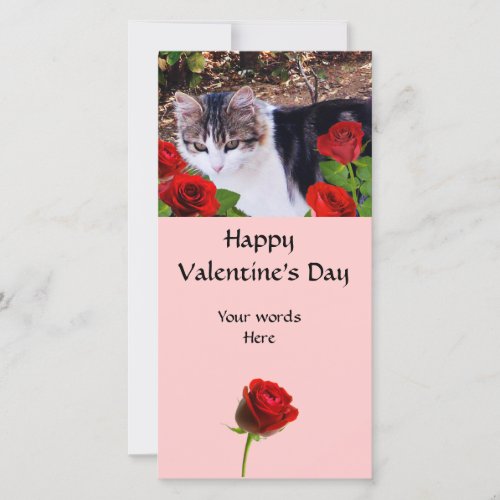 CAT WITH RED ROSES HOLIDAY CARD