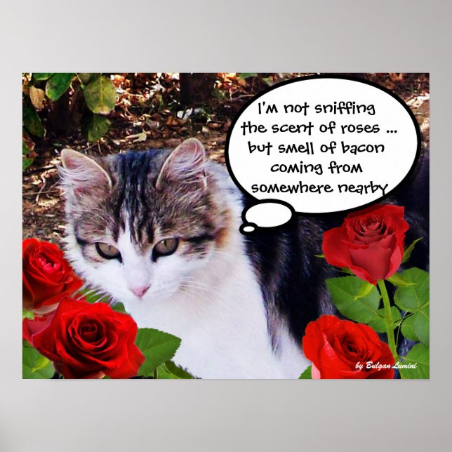 CAT WITH RED ROSES POSTER (Front)
