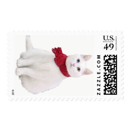 Cat With Red Scarf Postage Stamps