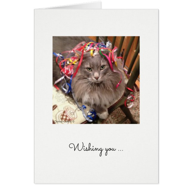 Cat with Ribbon on Head Birthday Card (Front)