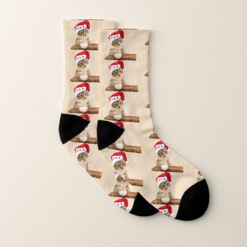 Cat with santa cap socks