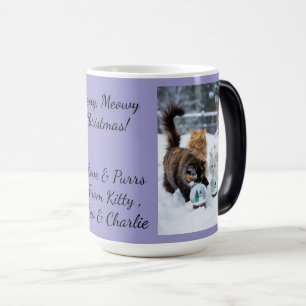Cat With Snow Globe, Image Names Text, Customize, Color Morph Mug